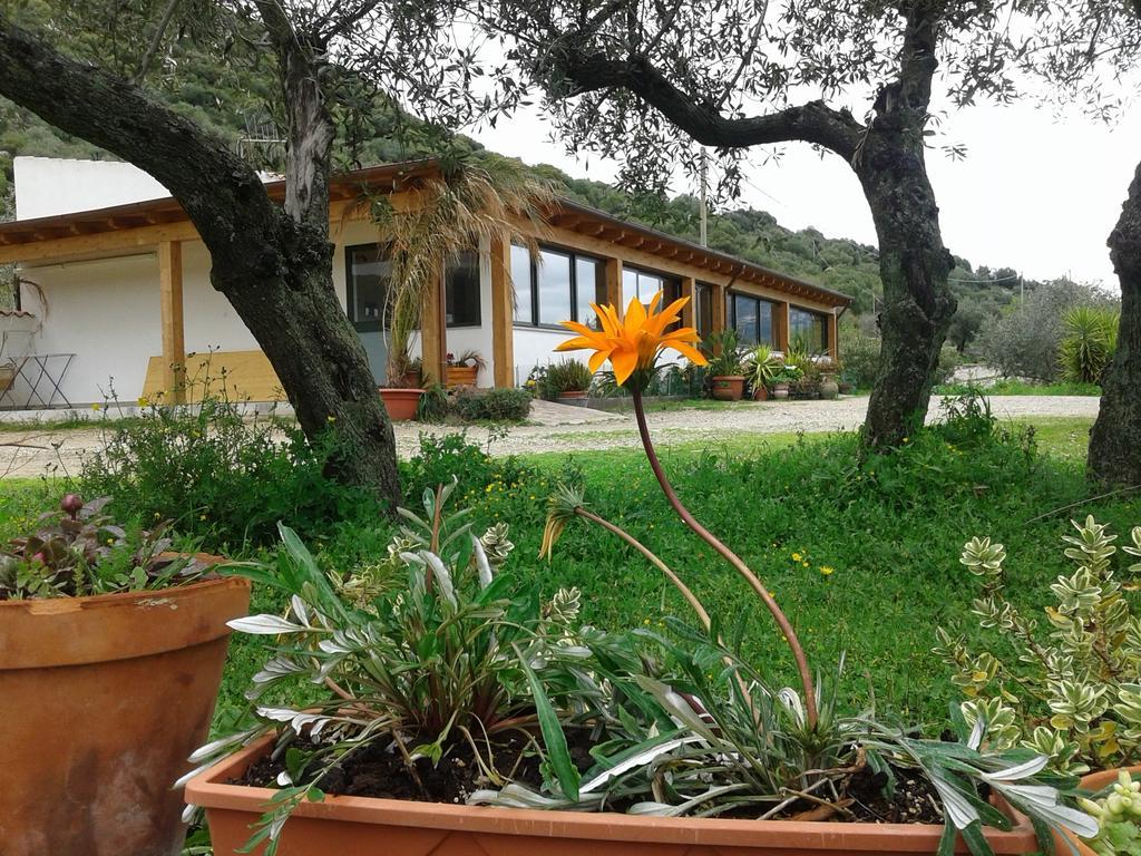 Agriturismo Locoe Oliena Exteriör bild
